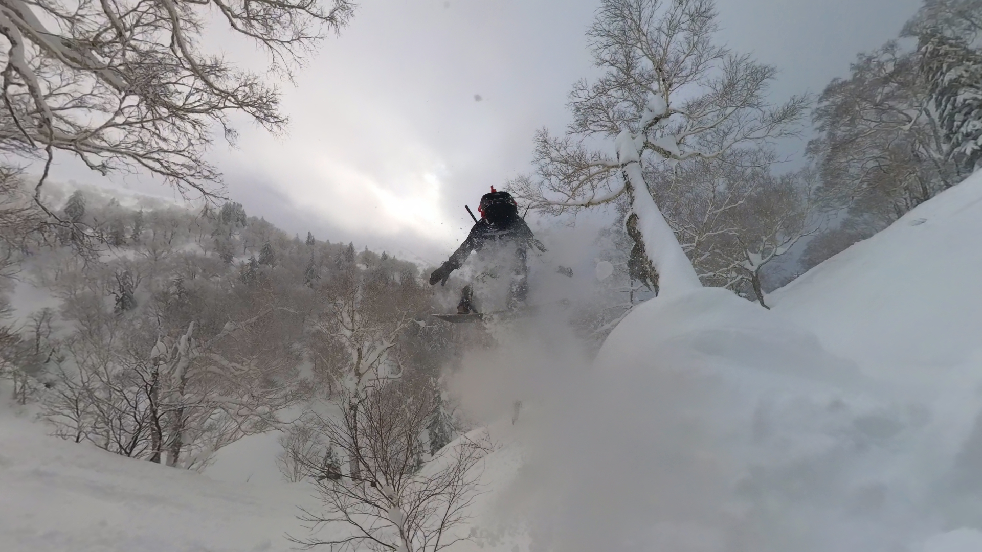 Angelo airborne above a snowy landing beside trees